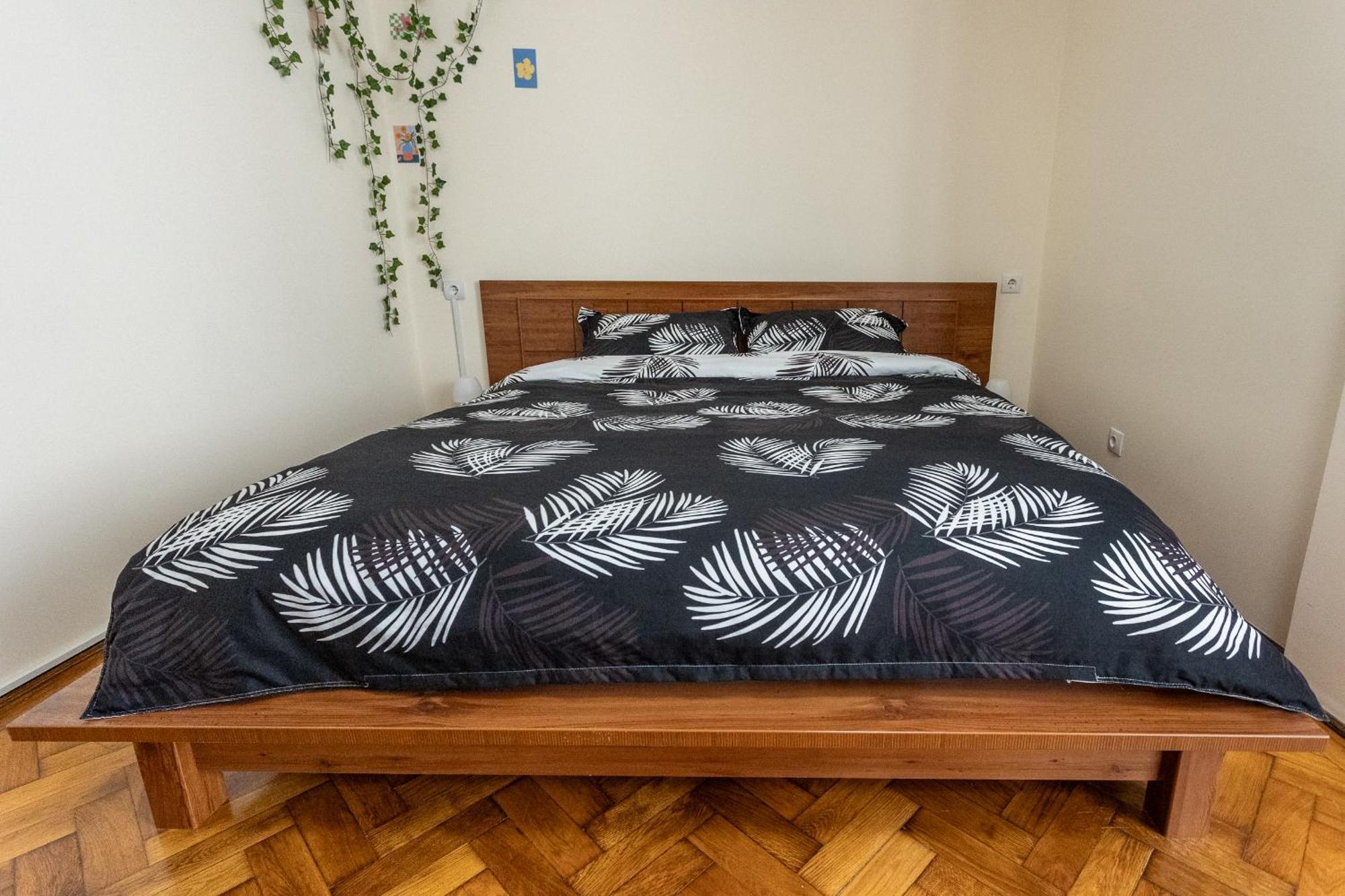 Supreme Deer Appartement Braşov Buitenkant foto